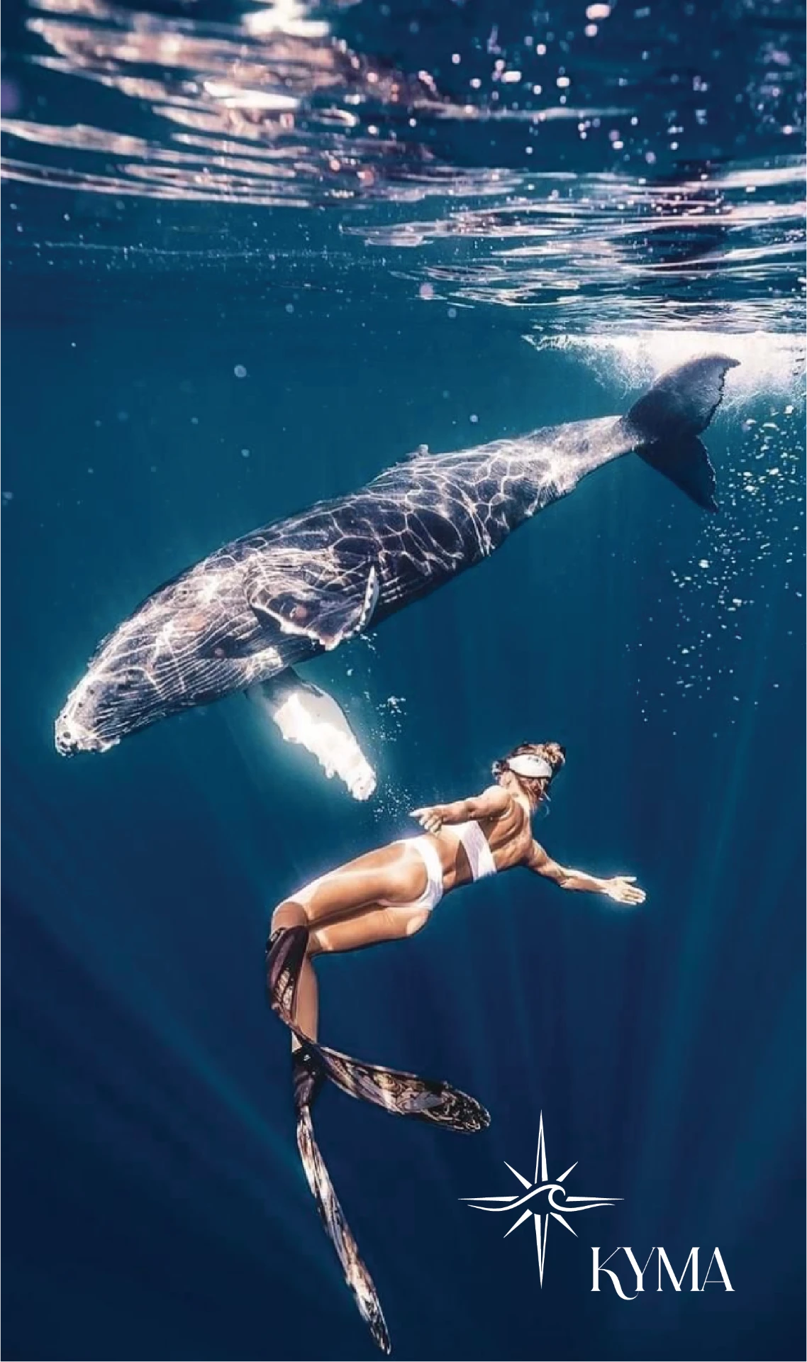 A freediver sharing open water with a whale