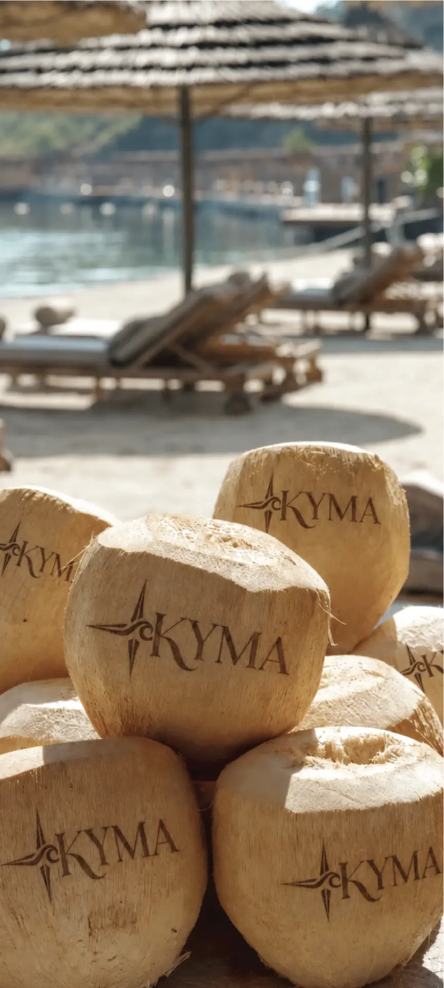 Fresh coconuts bearing the Kyma mark beside the water
